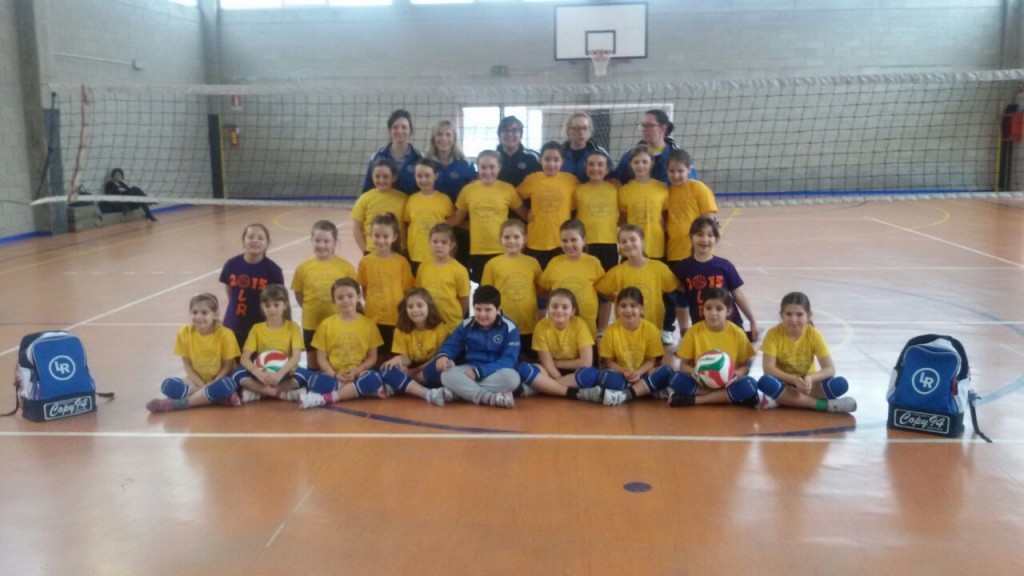 Microvolley 2006-2007